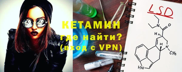 шишки Сатка
