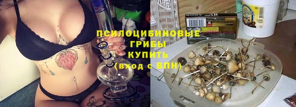 таблы Богданович
